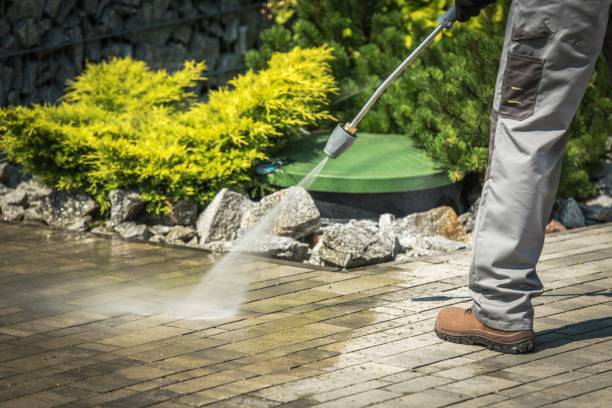 Best Window and Screen Pressure Cleaning in Armona, CA
